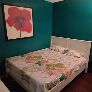 Réu-nid Auberge de jeunesse